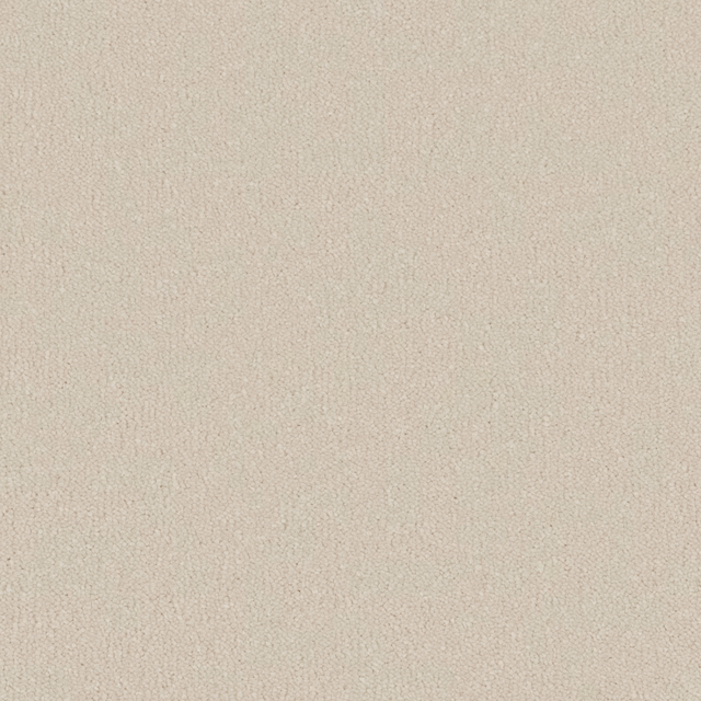 Warm County Cream carpet with dense soft pile and fine tonal flecking