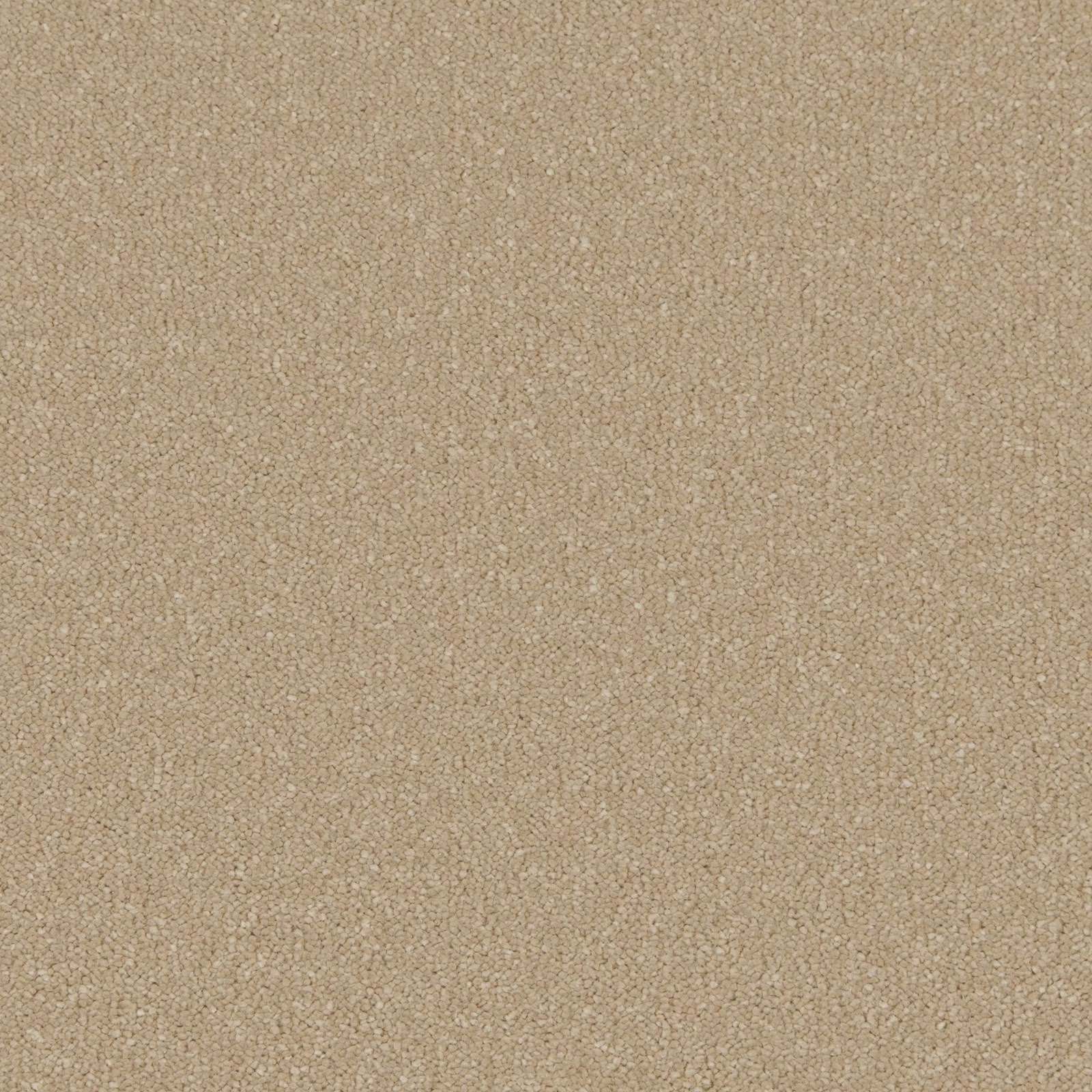 Warm oat-beige carpet with a dense, softly mottled deep-pile texture