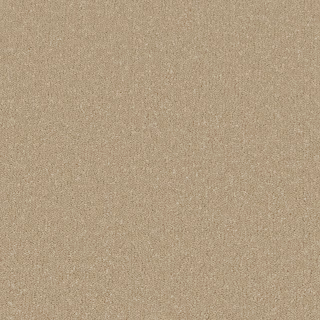Warm oat-beige carpet with a dense, softly mottled deep-pile texture