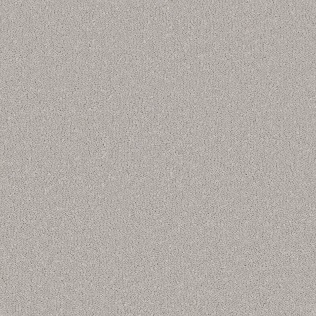 Pale greige deep-pile carpet with a finely mottled, softly textured surface