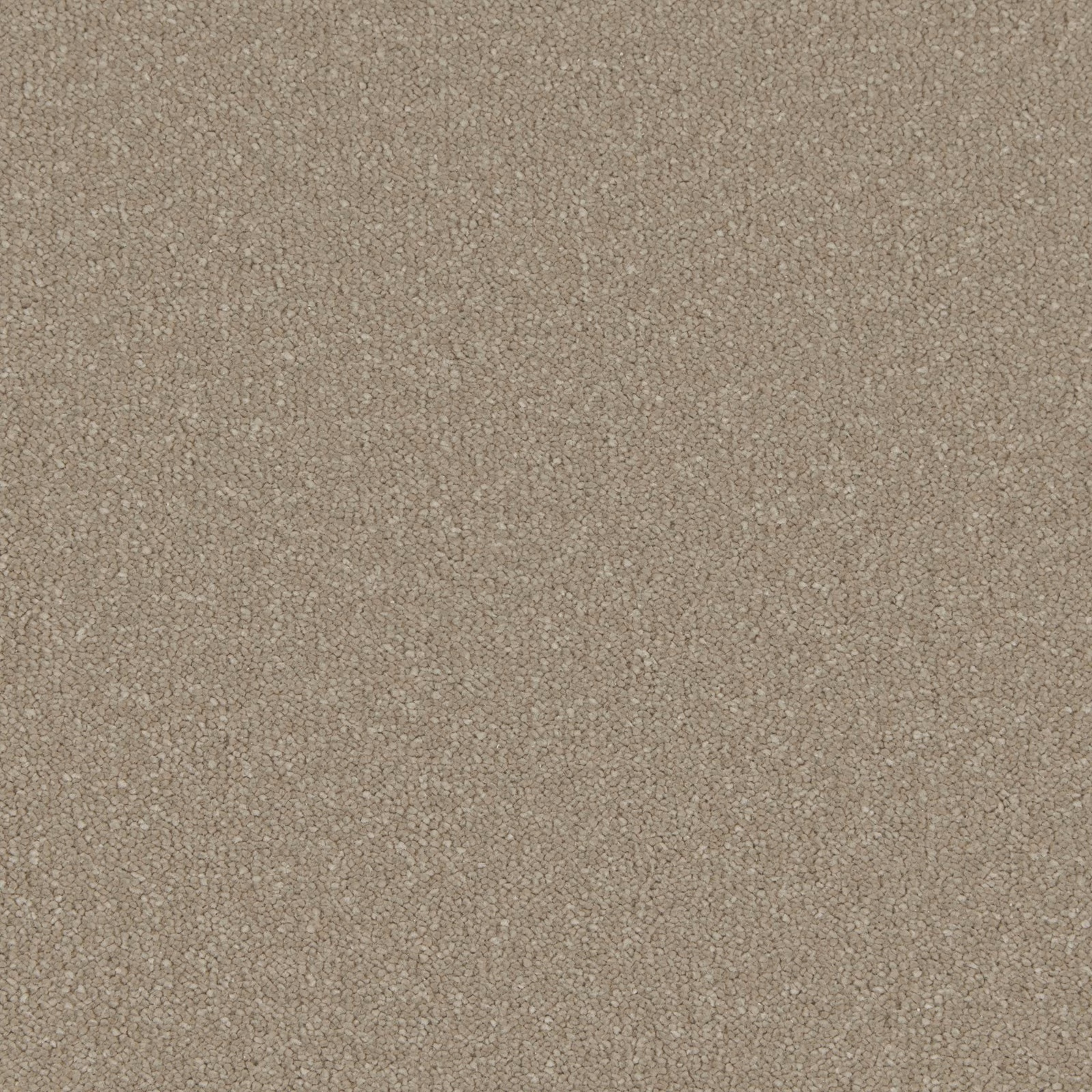 Warm taupe Nocciola carpet with dense, softly pebbled deep-pile texture