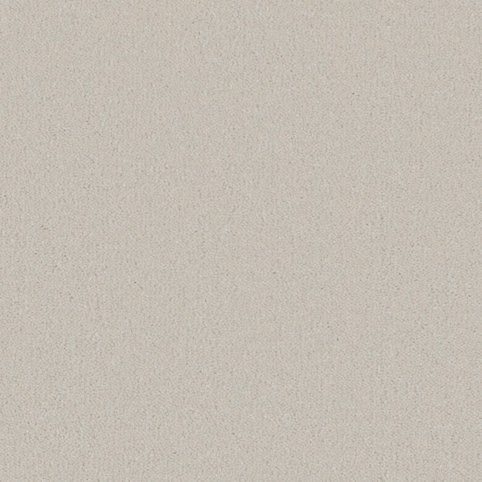 Cool off-white carpet with a softly flecked, dense deep-pile texture