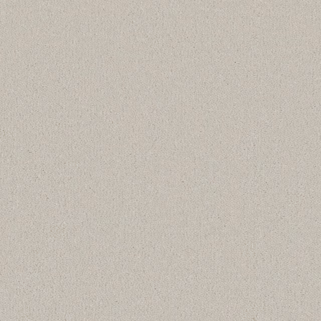 Cool off-white carpet with a softly flecked, dense deep-pile texture