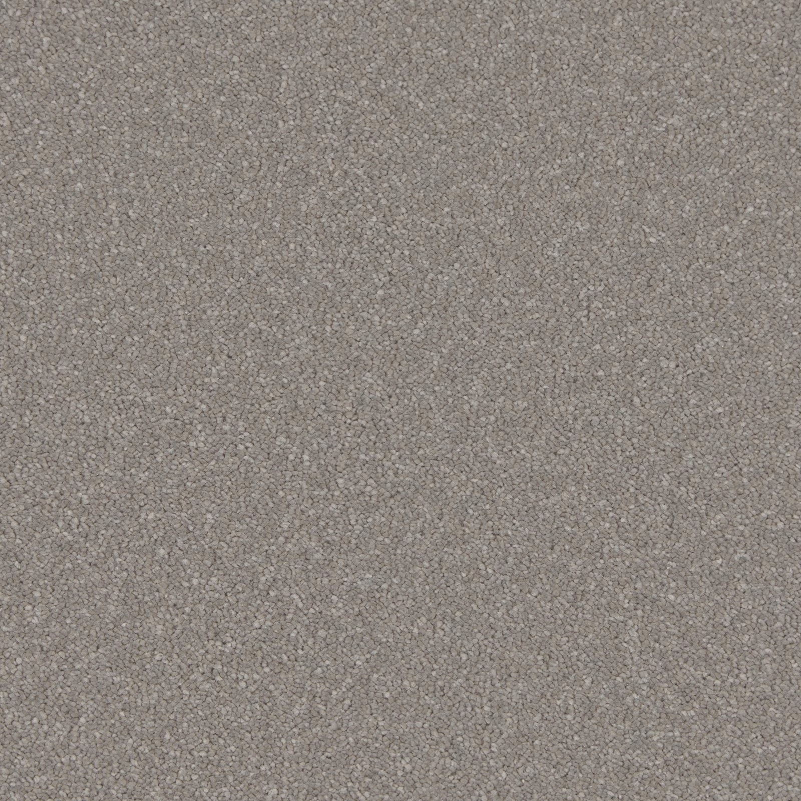 Mushroom taupe-grey deep pile with dense, softly mottled textured surface
