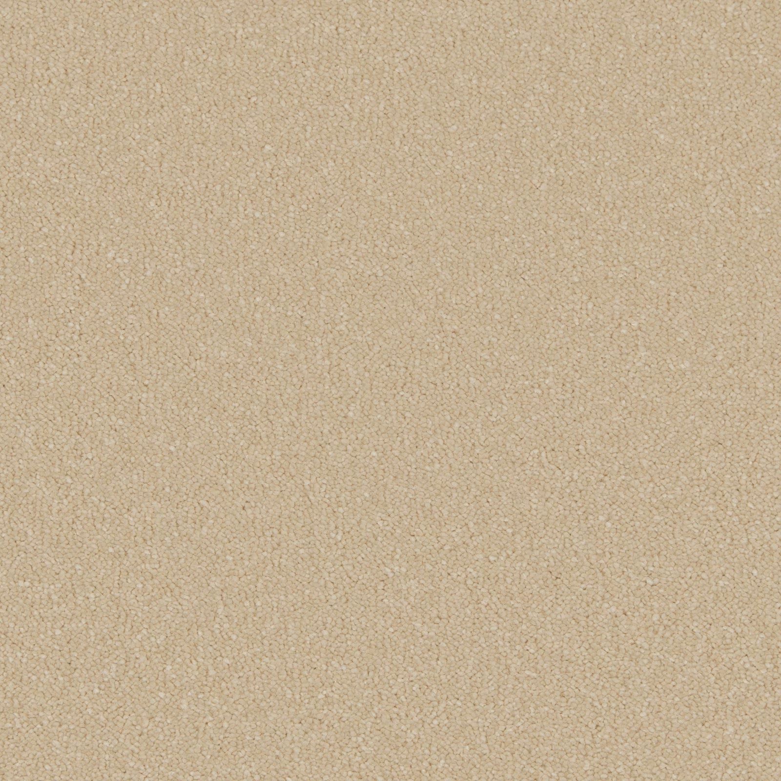 Warm sandy beige carpet showing a dense, softly mottled deep pile