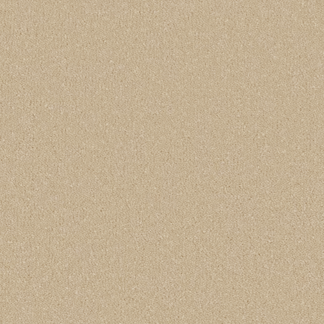Warm sandy beige carpet showing a dense, softly mottled deep pile