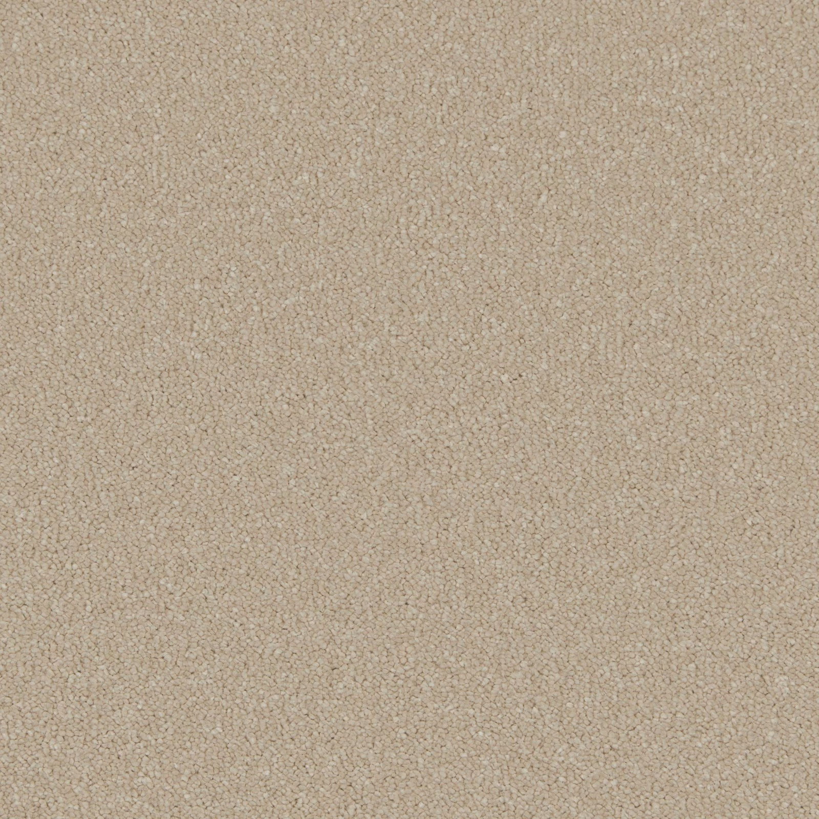 Warm stone-beige carpet with a dense, softly flecked deep-pile texture