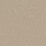 Warm stone-beige carpet with a dense, softly flecked deep-pile texture