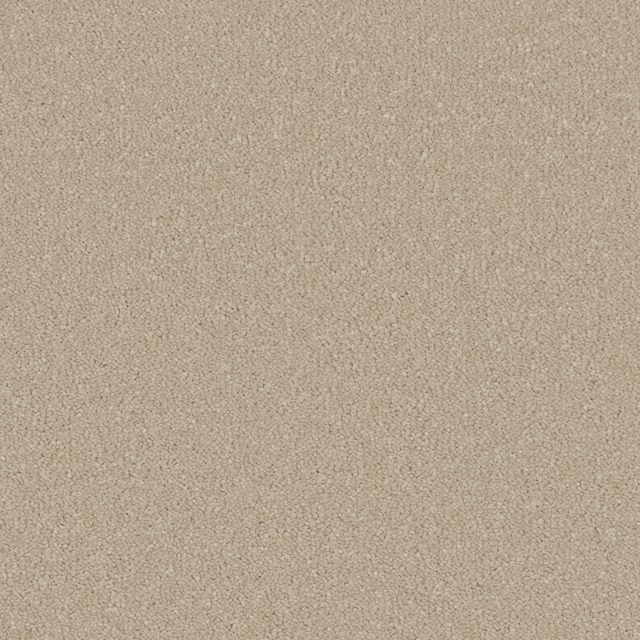 Warm stone-beige carpet with a dense, softly flecked deep-pile texture