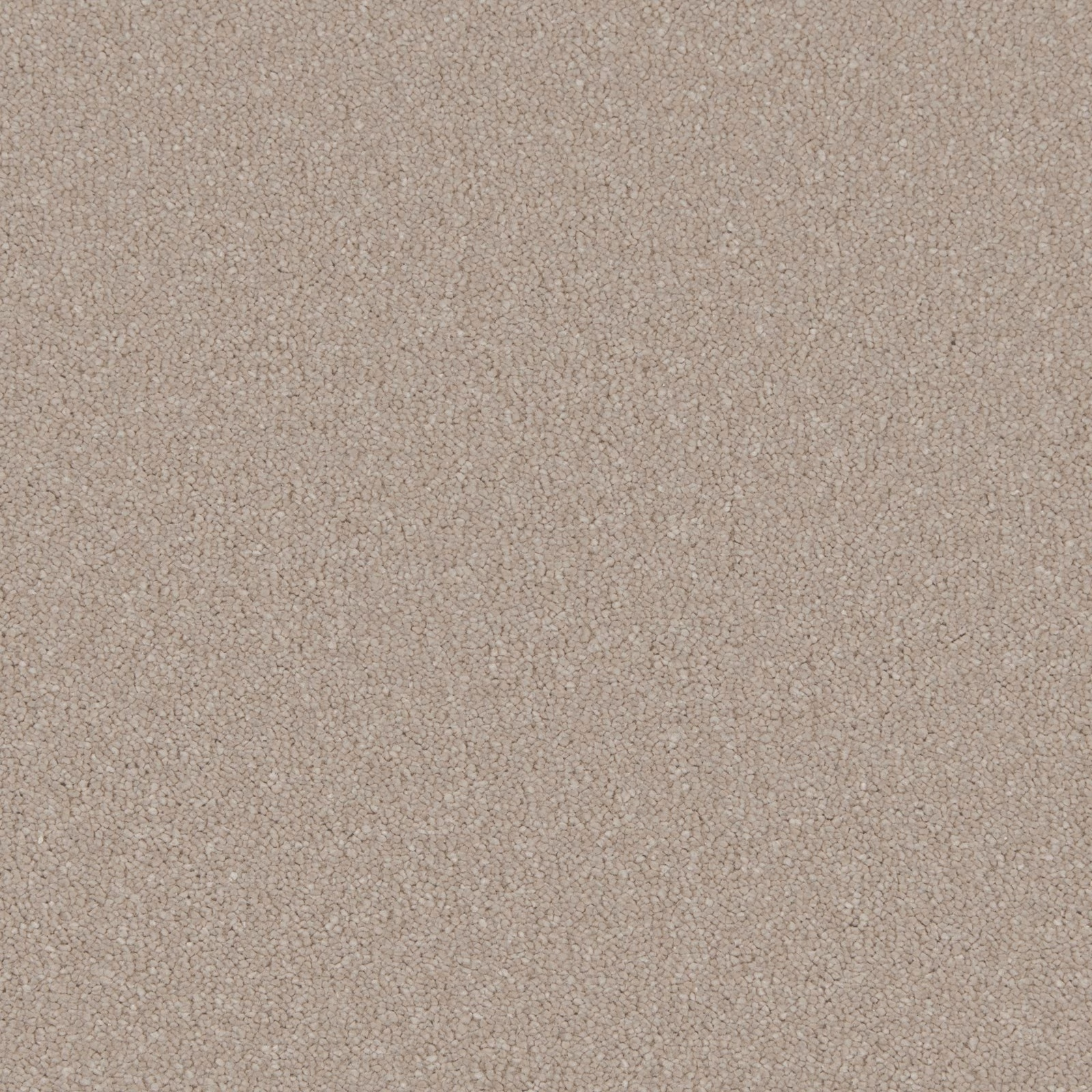 Close-up of Taffetta’s warm taupe-beige deep pile with subtle tonal flecking