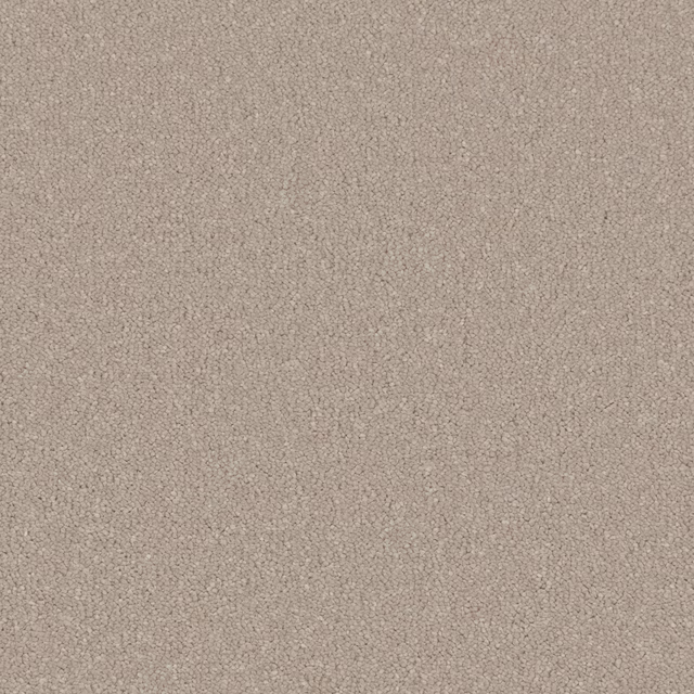 Close-up of Taffetta’s warm taupe-beige deep pile with subtle tonal flecking
