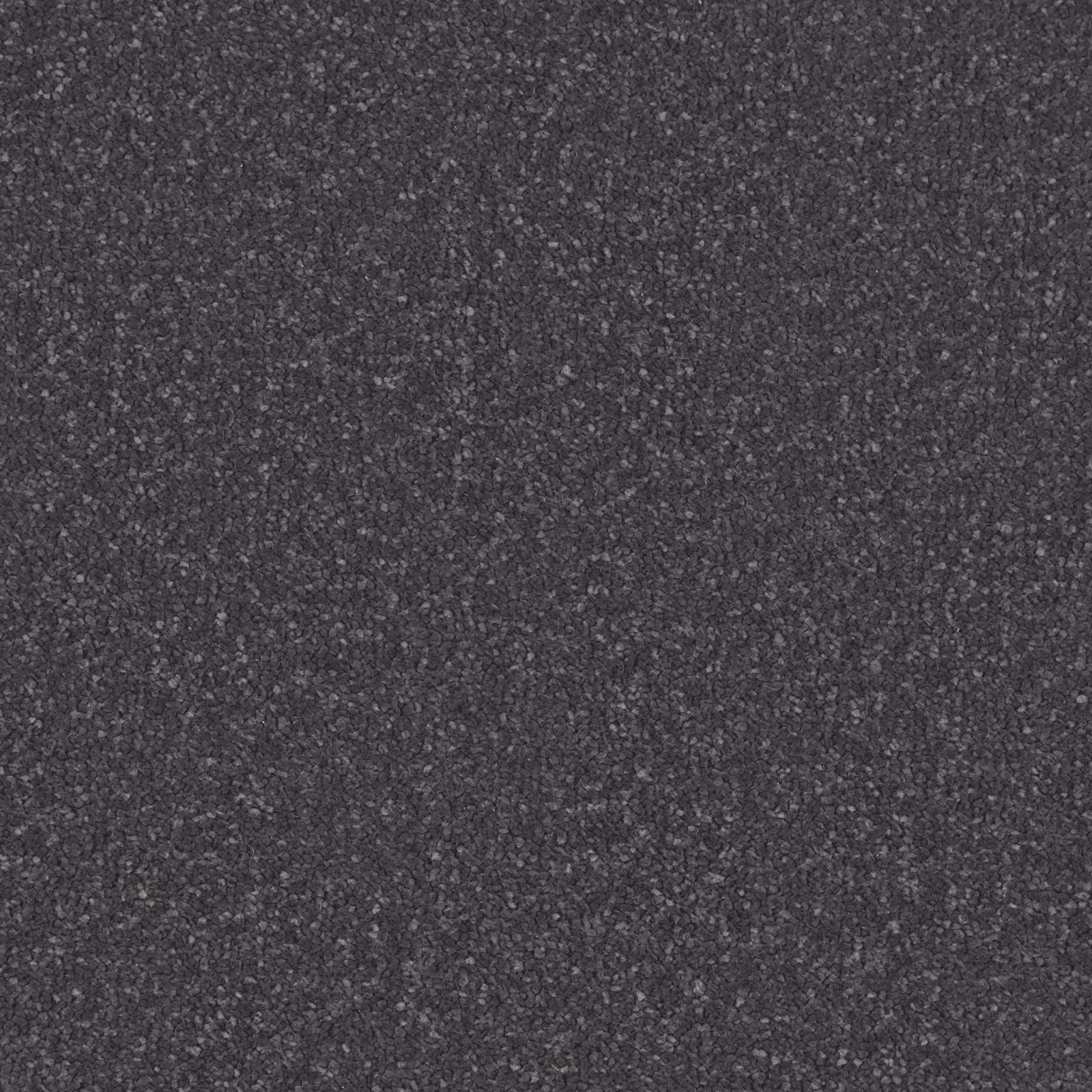 Charcoal-grey soft deep pile with fine pale flecks and dense tactile texture