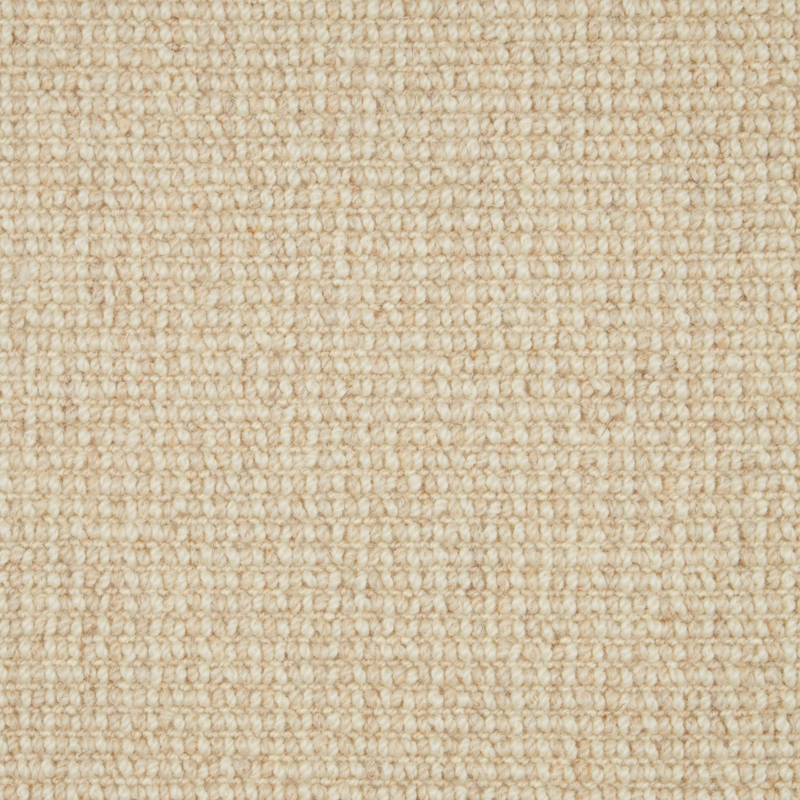 Warm oatmeal beige Wool Loop carpet with compact horizontal loop texture