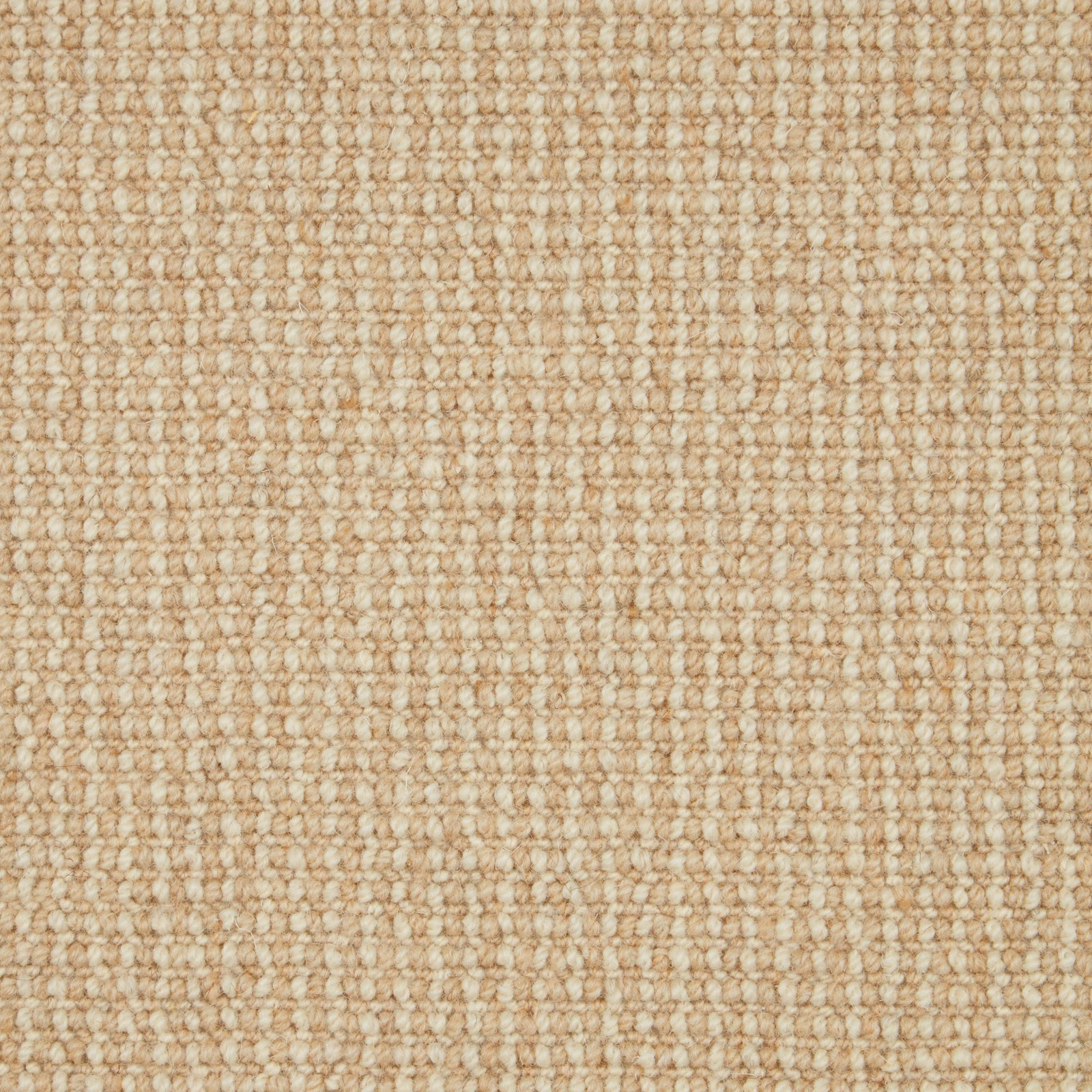 Warm oatmeal beige carpet with a compact cream-and-tan loop weave