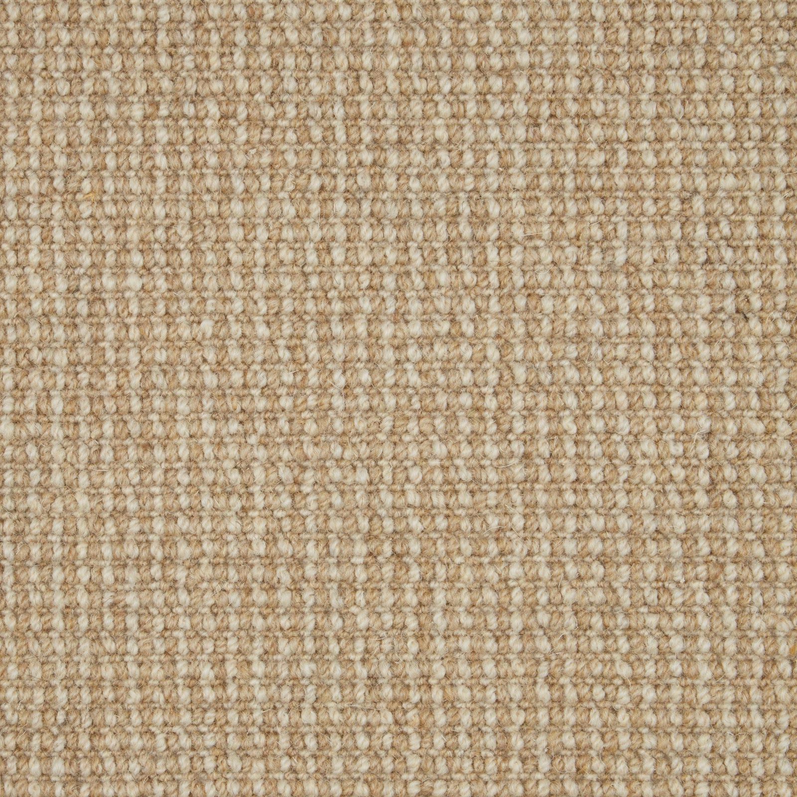 Warm oat beige wool loop carpet with softly mottled rows and tactile woven texture