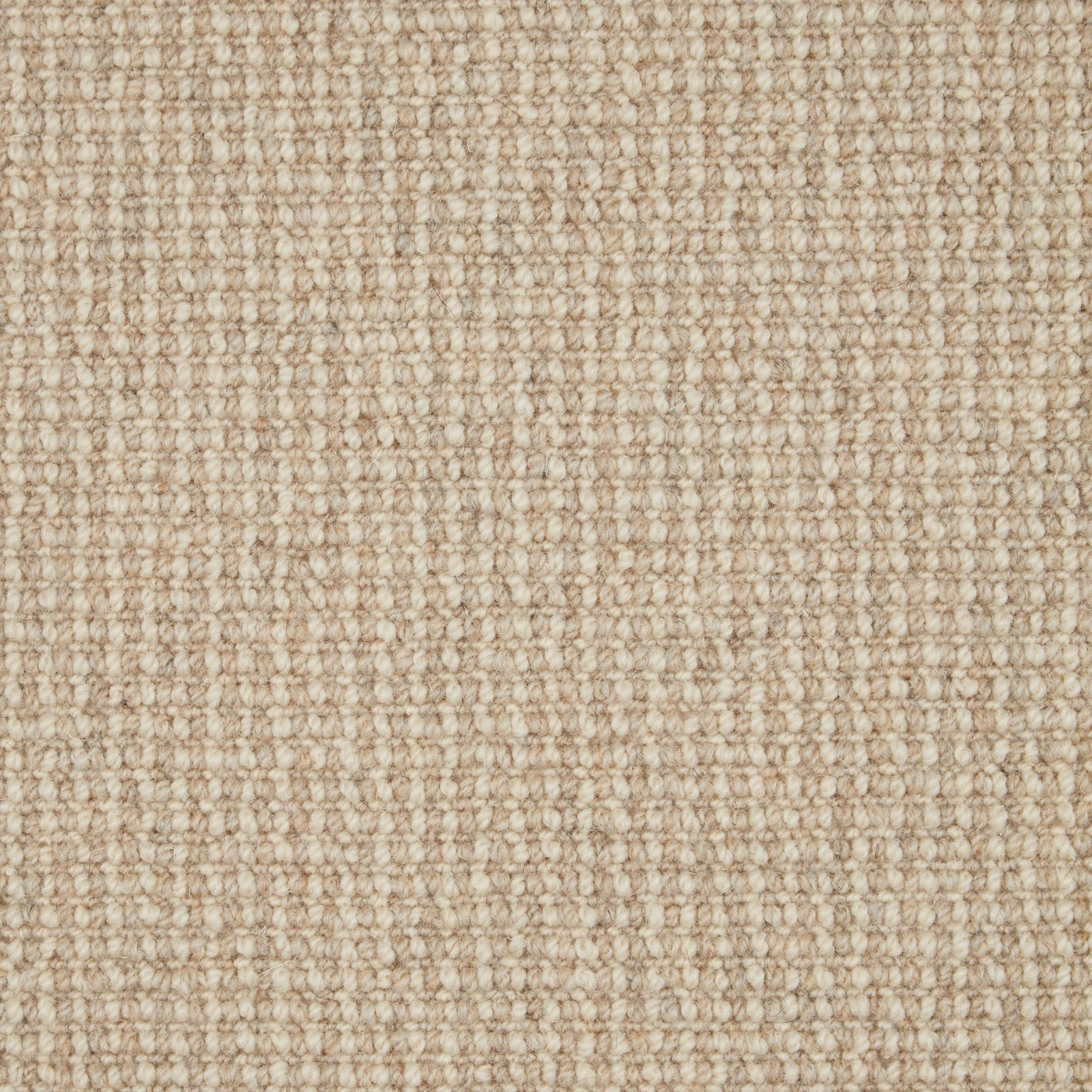 Warm oatmeal beige Wool Loop carpet with small, softly mottled textured loops