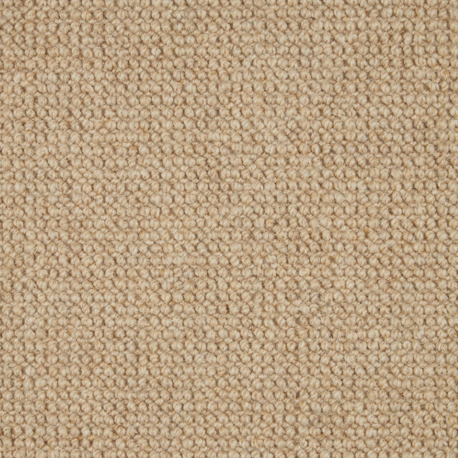 Warm oatmeal-beige Bronte 111 carpet showing a tightly packed textured wool loop surface