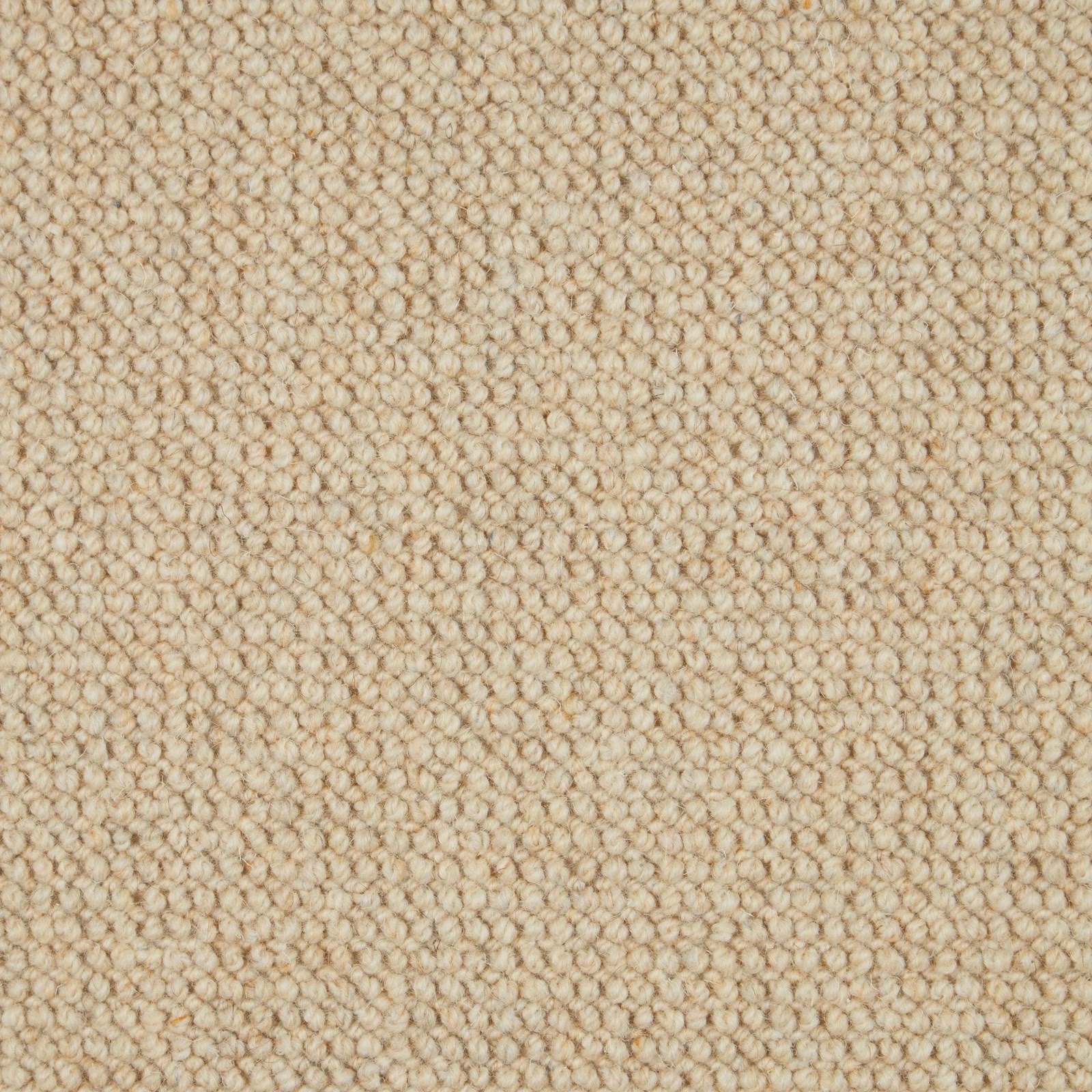 Close-up of warm oatmeal-beige Bronte 122 wool loop carpet with small nubby loops