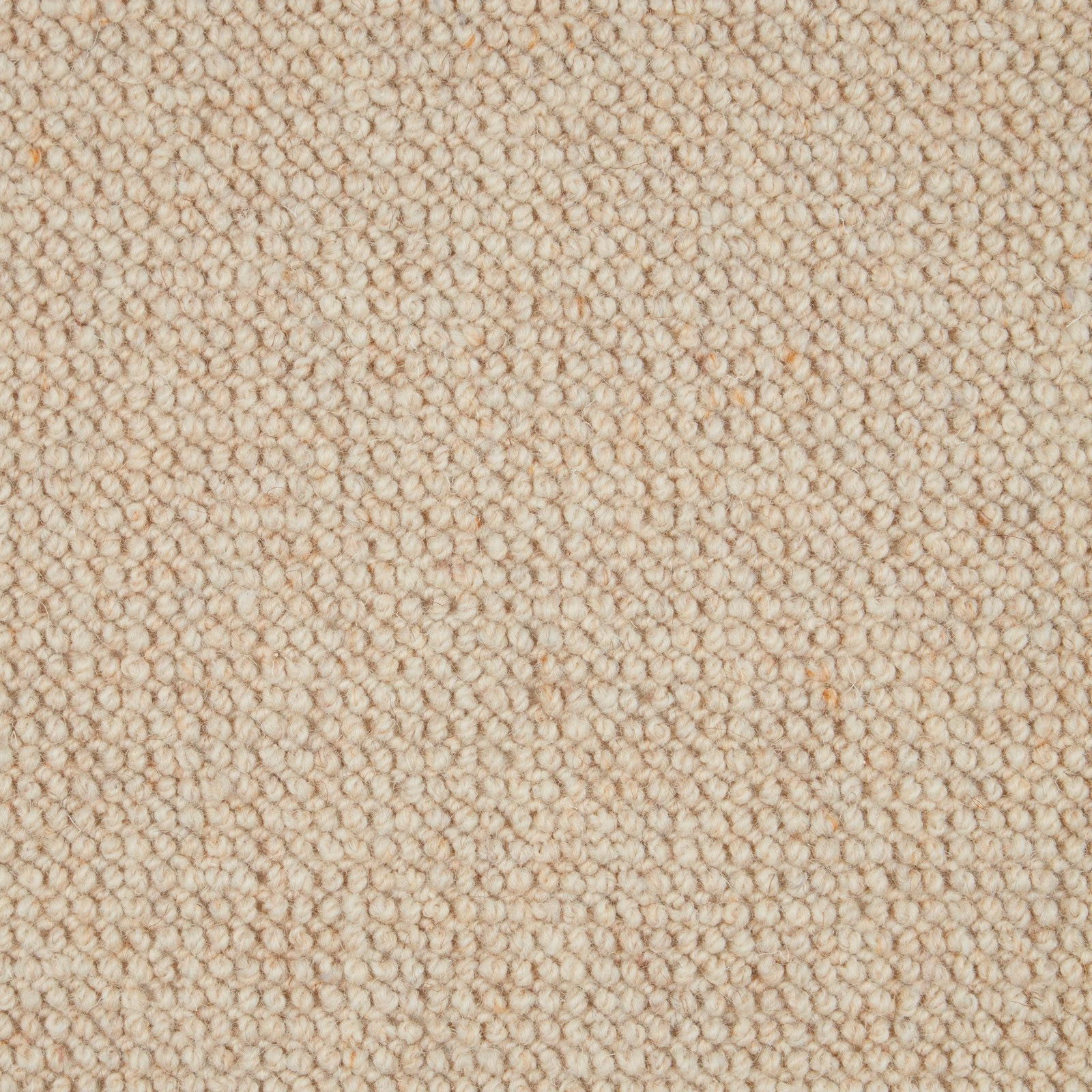 Warm oat-beige loop pile with subtle cream and tan flecking