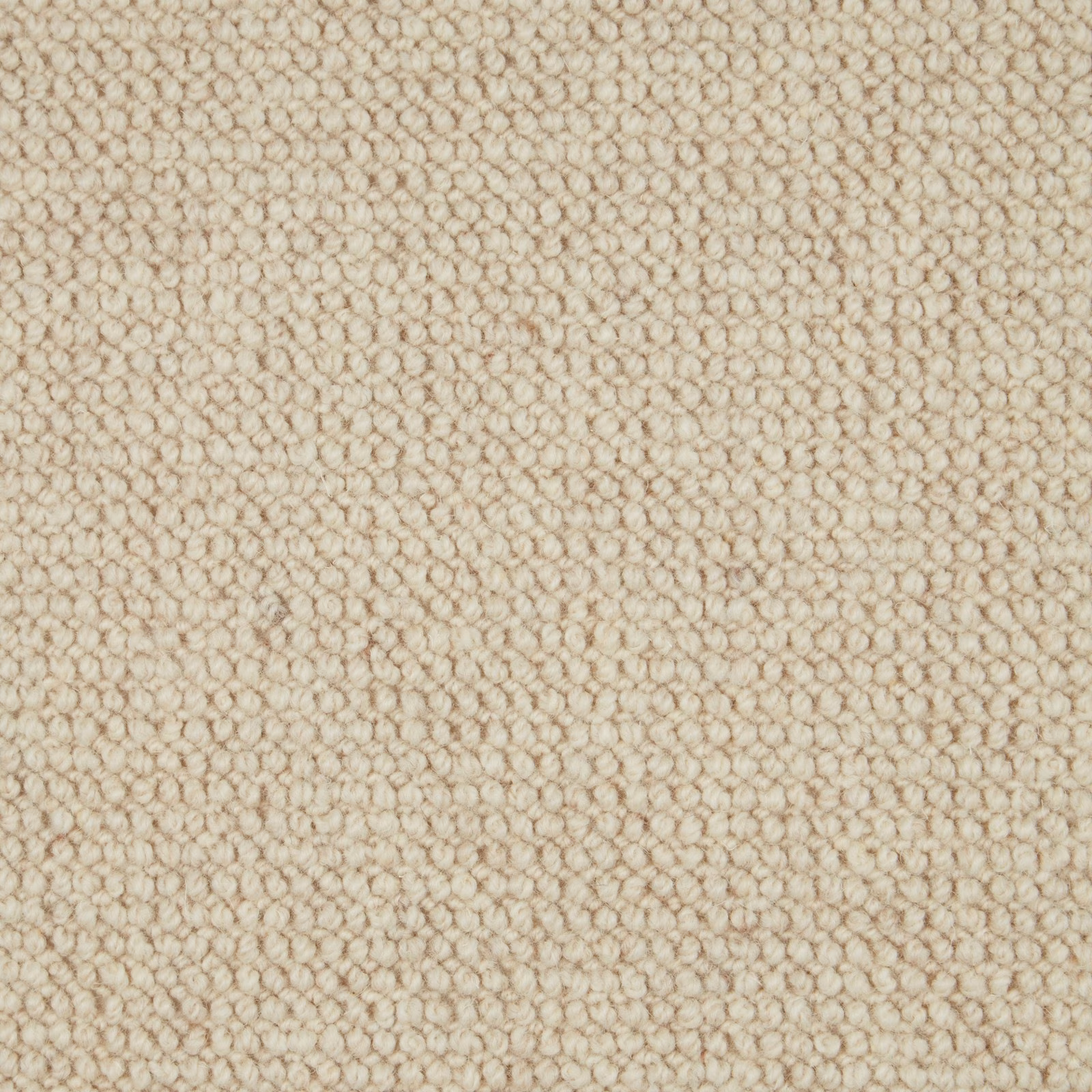 Warm oatmeal-beige wool loop with softly flecked, rounded texture