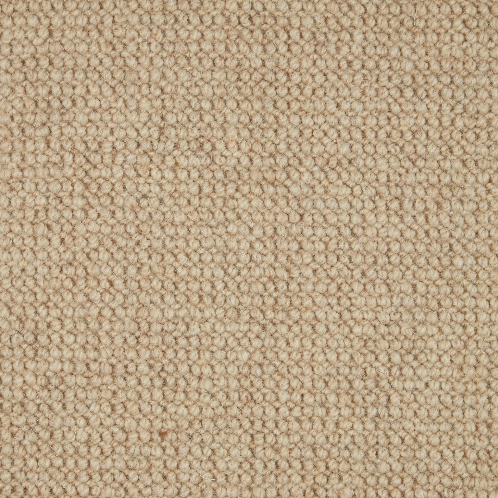 Warm oatmeal-beige Wool Loop carpet with closely packed rounded loops and subtle tan flecks