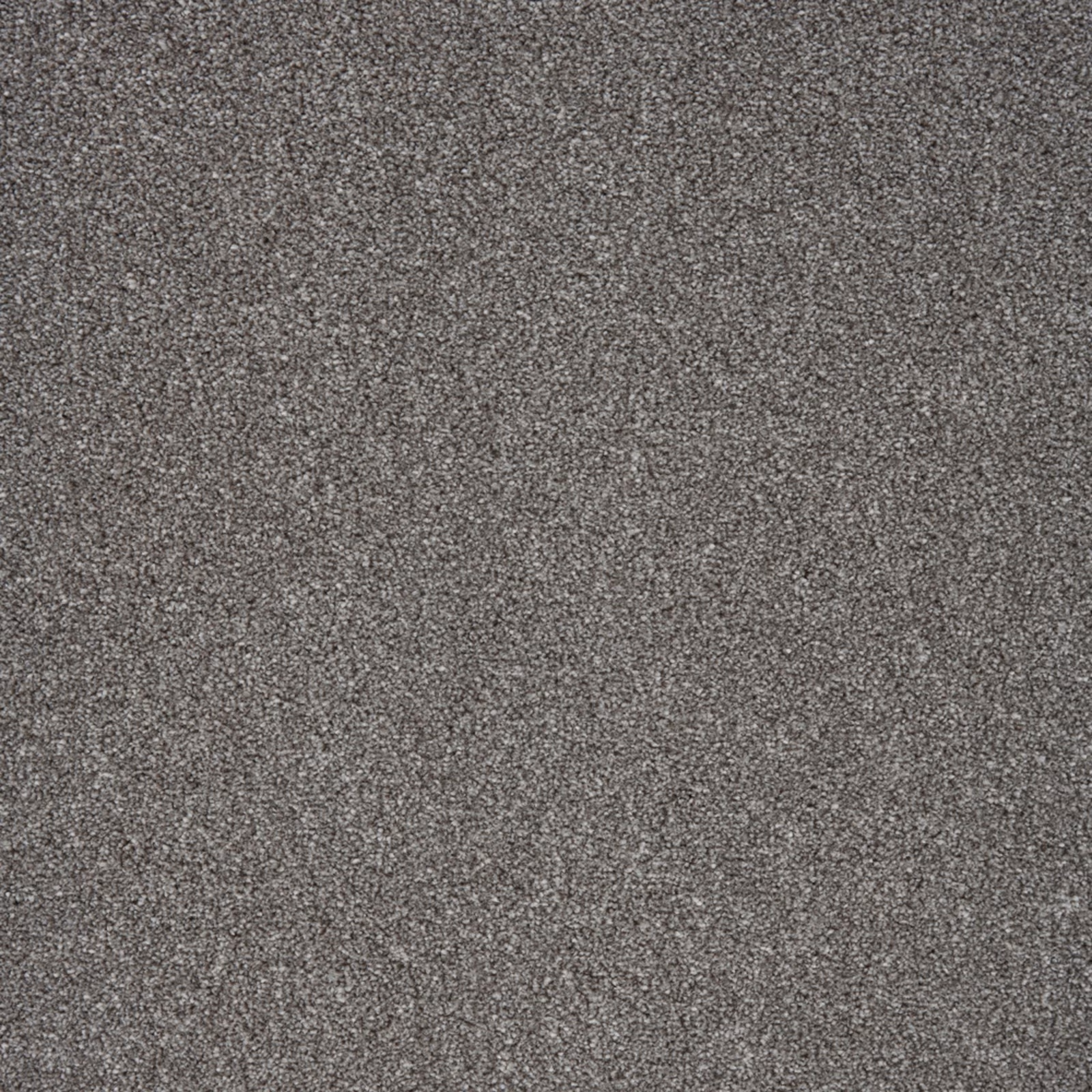 Cool charcoal-grey carpet with fine salt-and-pepper texture and dense low pile