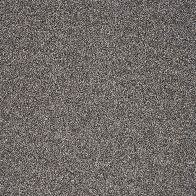 Cool charcoal-grey carpet with fine salt-and-pepper texture and dense low pile