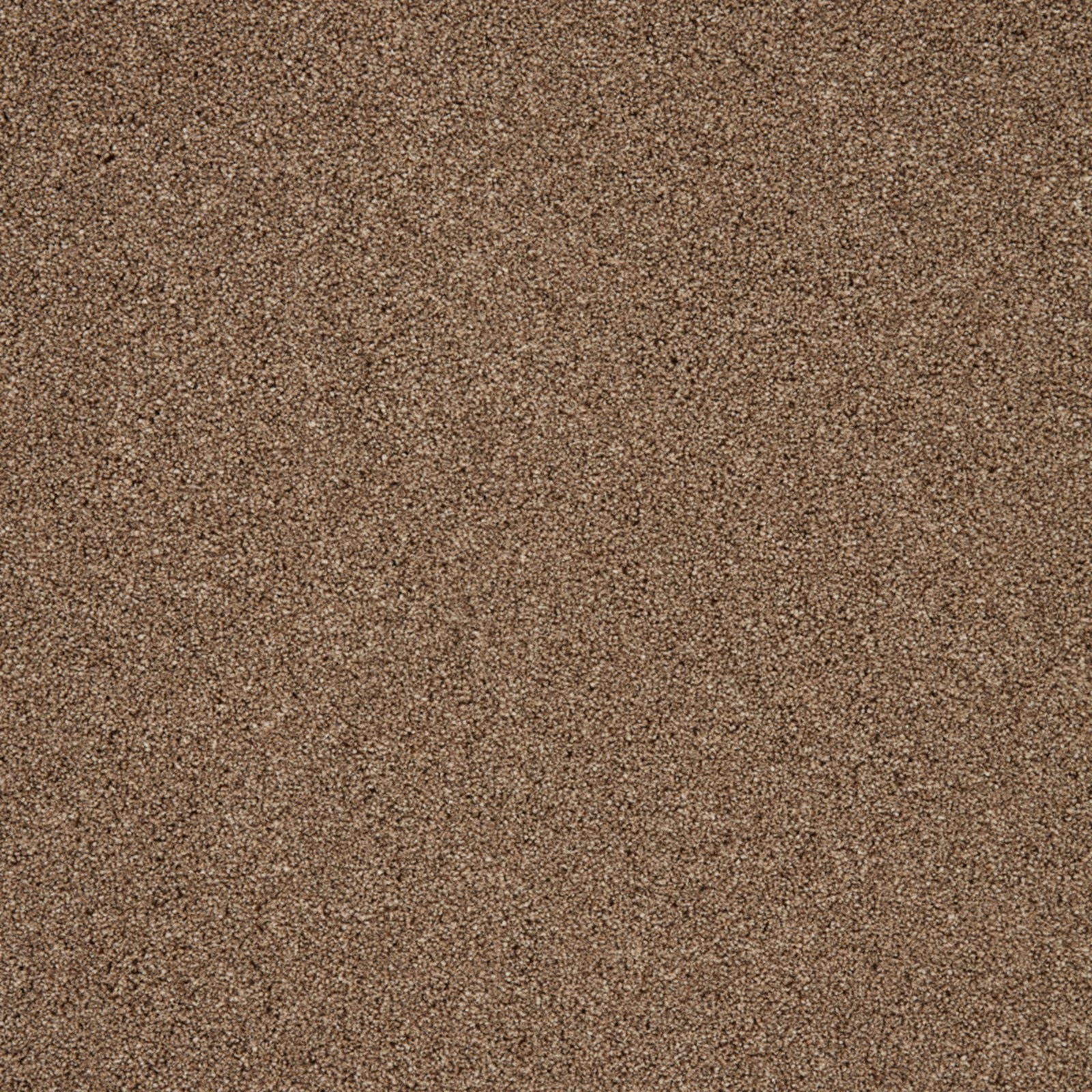 Warm brown carpet swatch with softly mottled taupe flecks and dense short pile