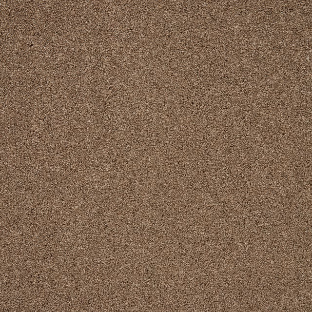 Warm brown carpet swatch with softly mottled taupe flecks and dense short pile