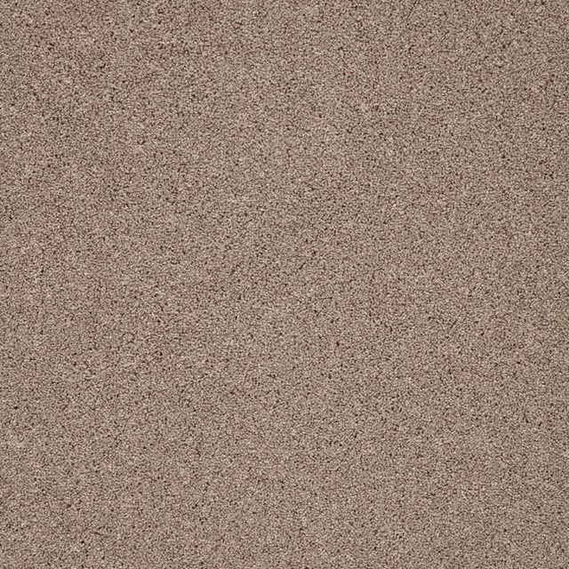 Warm biscuit taupe carpet with dense short pile and fine tonal flecks