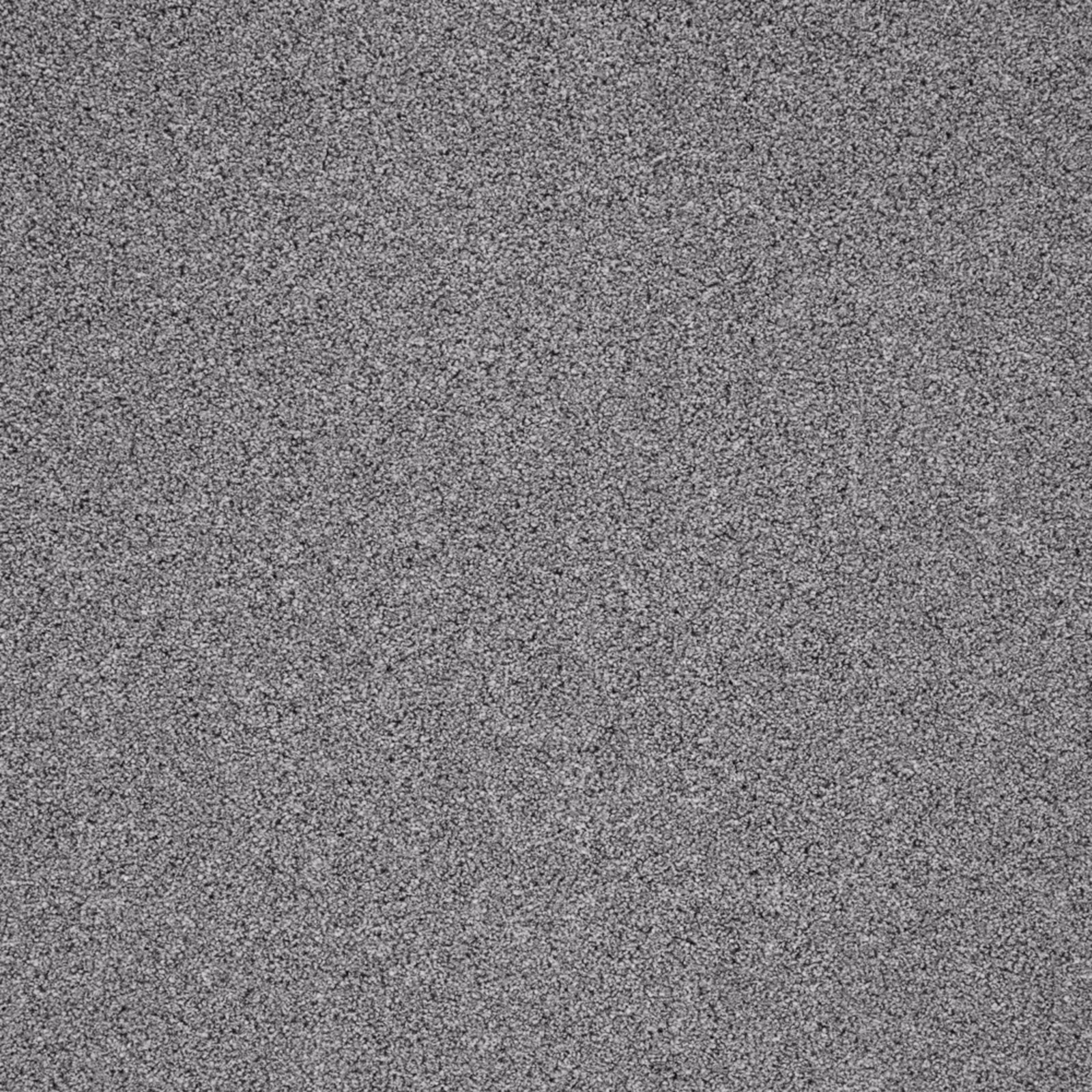 Close-up of cool grey carpet with fine charcoal and silvery peppered texture