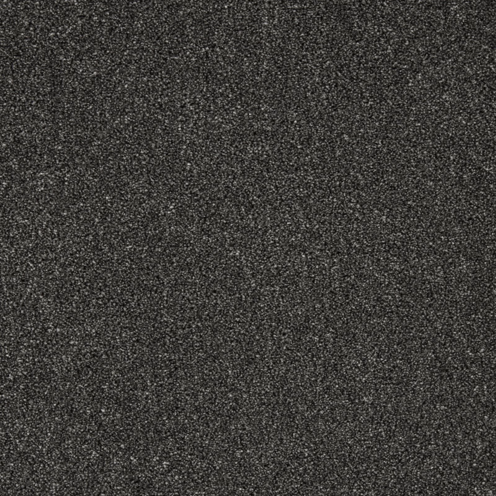 Deep charcoal black carpet with fine grey flecks and dense textured pile