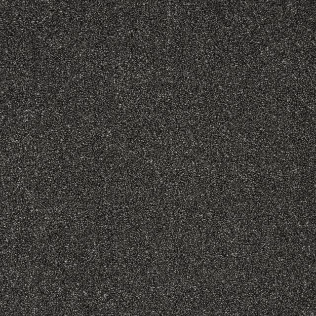 Deep charcoal black carpet with fine grey flecks and dense textured pile