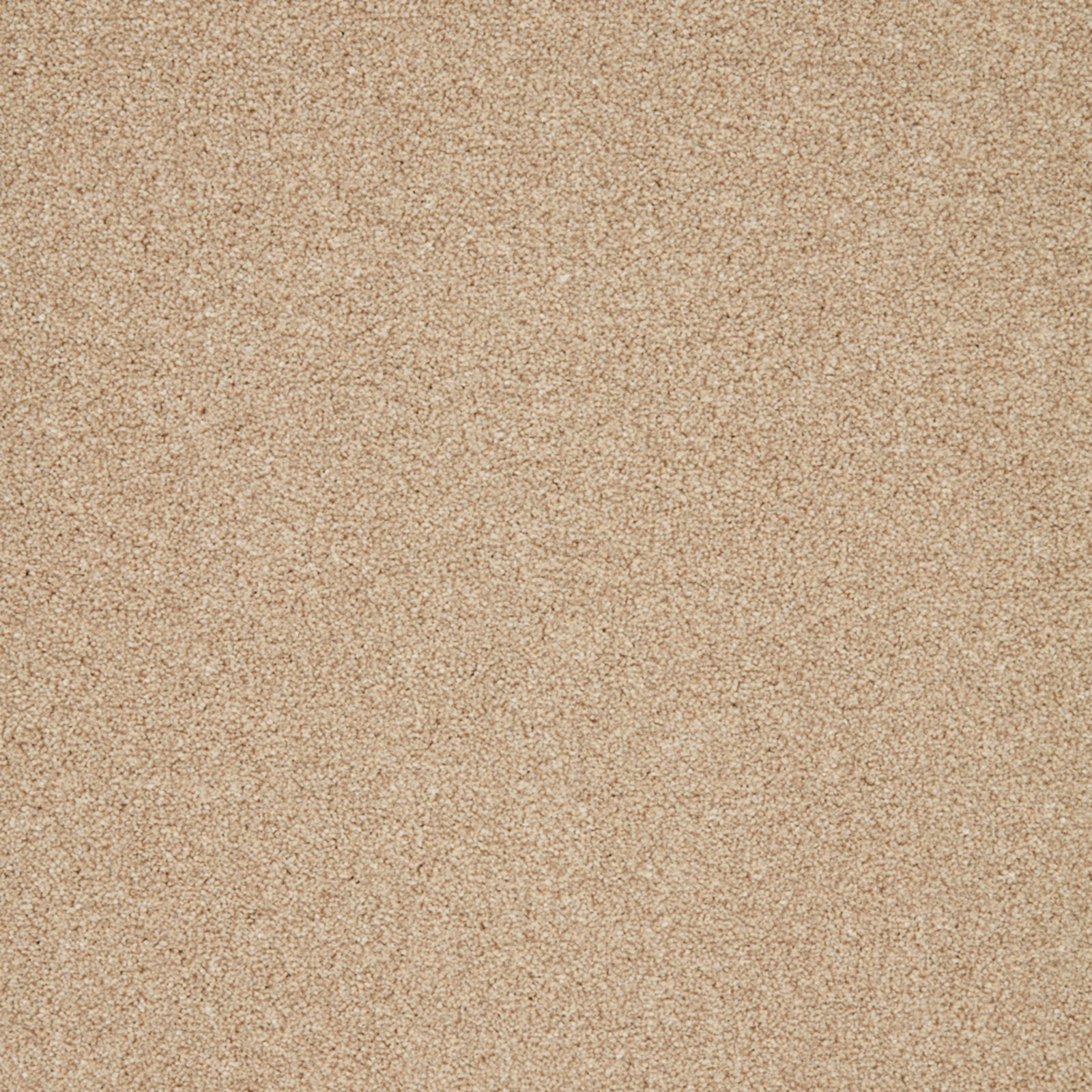 Warm oatmeal-beige carpet swatch with fine taupe flecks and softly mottled pile