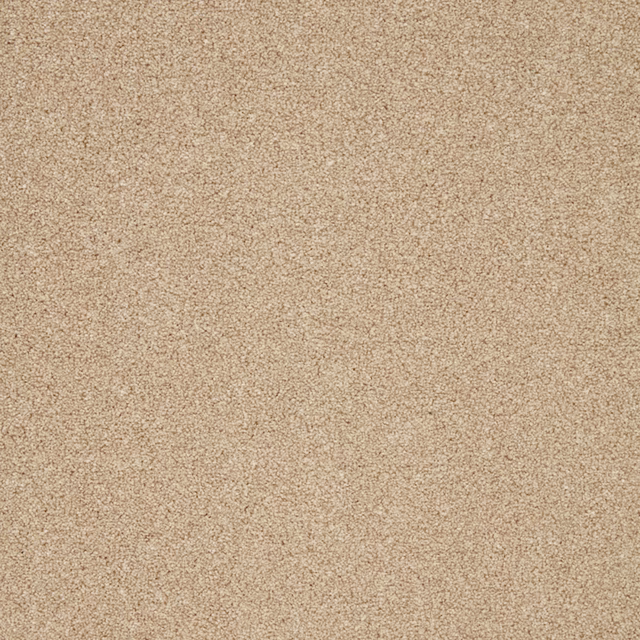Warm oatmeal-beige carpet swatch with fine taupe flecks and softly mottled pile
