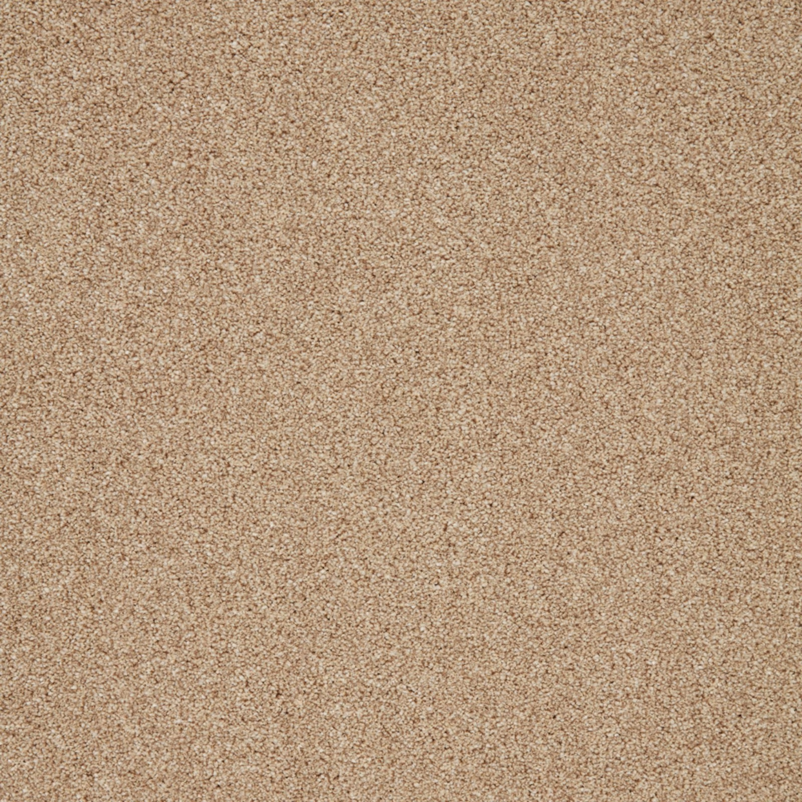 Warm sandy beige carpet with a close, subtly mottled short-pile texture