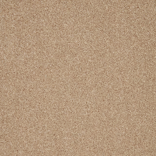 Warm sandy beige carpet with a close, subtly mottled short-pile texture