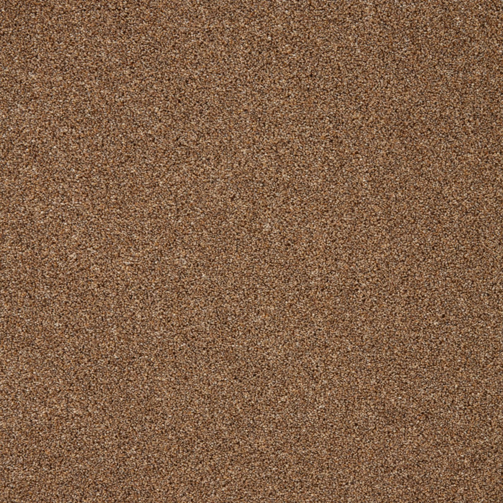 Warm russet-brown carpet with a dense, finely flecked textured surface