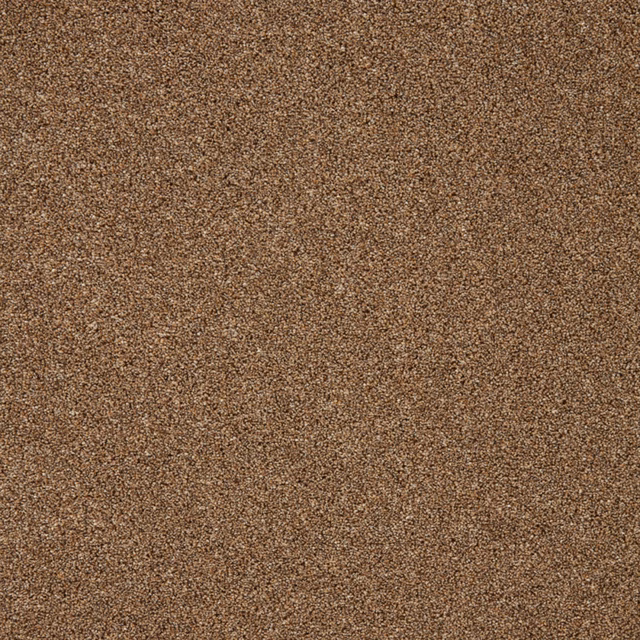 Warm russet-brown carpet with a dense, finely flecked textured surface