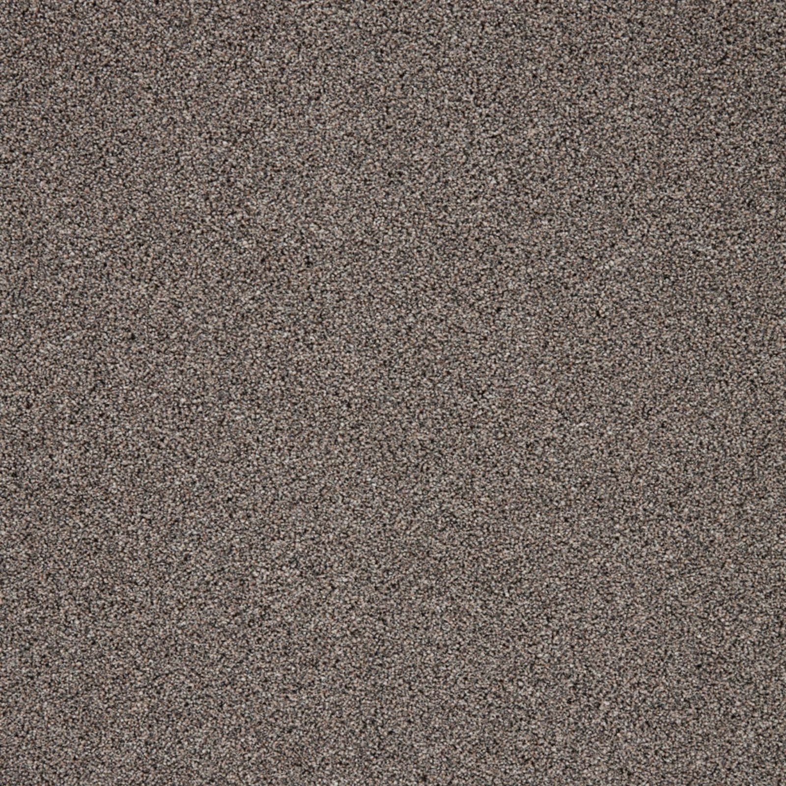 Mottled taupe-grey carpet pile with fine charcoal and brown flecks