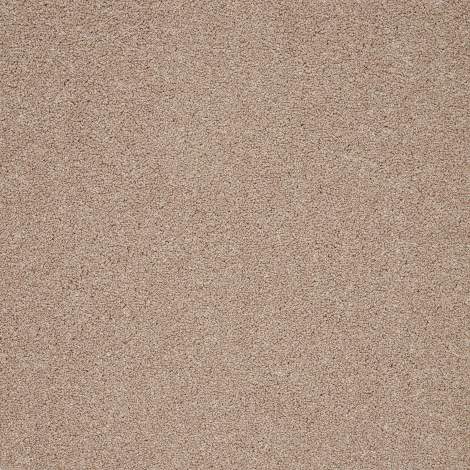 Warm taupe-beige carpet with a fine, softly mottled textured surface