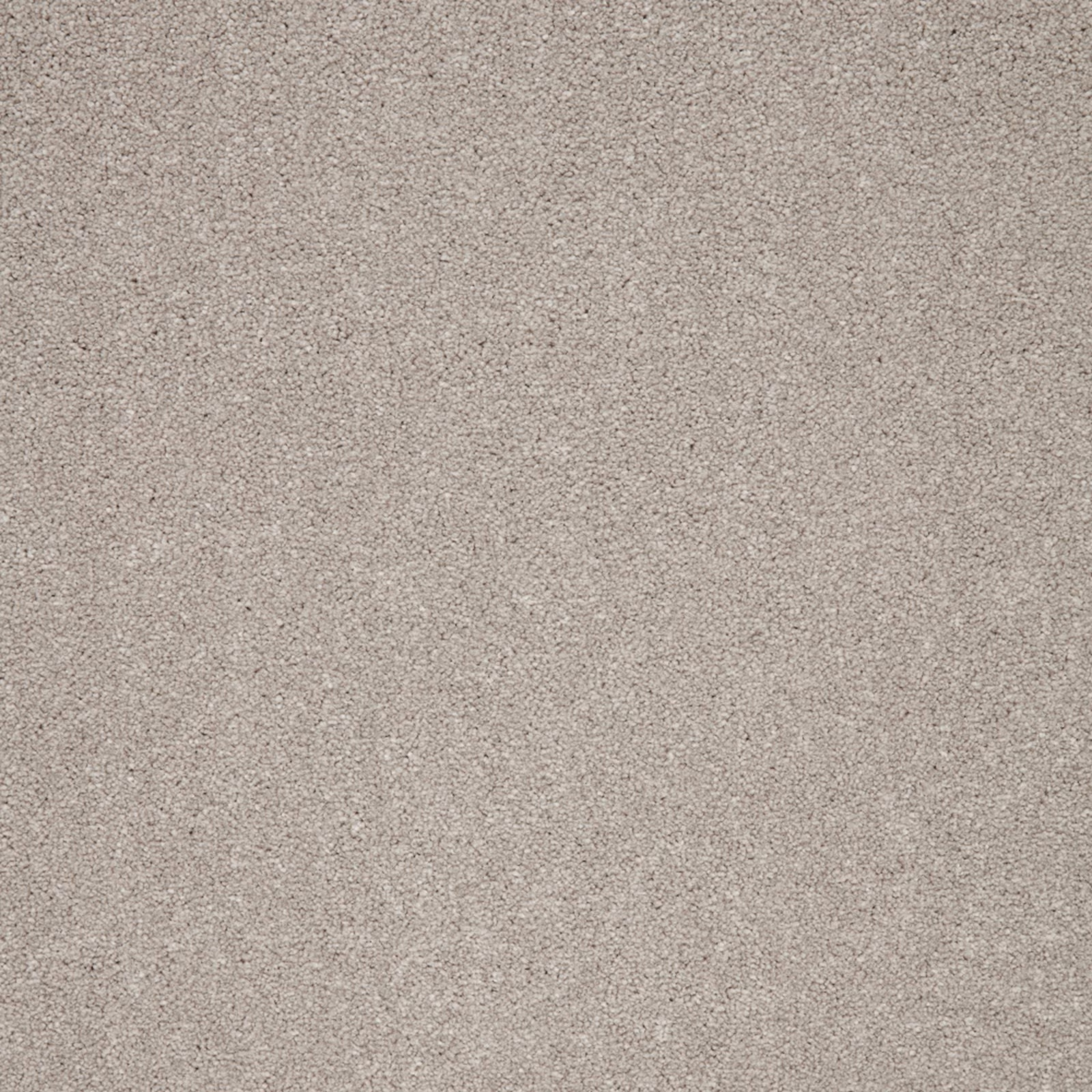 Close-up of muted taupe-grey carpet with fine softly flecked texture
