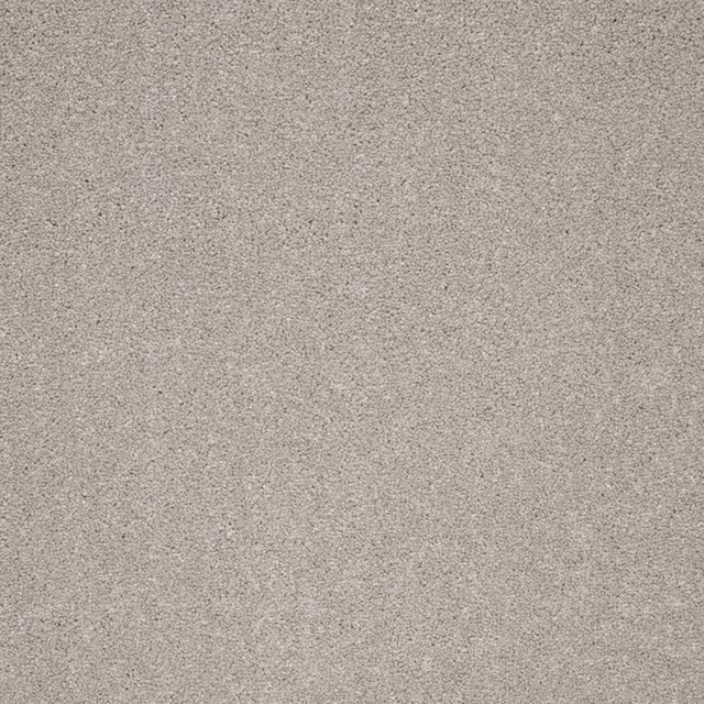 Close-up of muted taupe-grey carpet with fine softly flecked texture