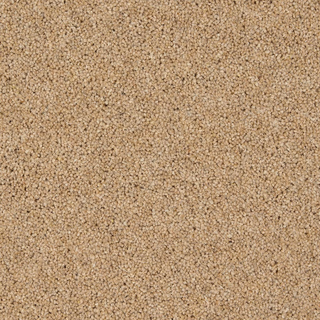 Warm golden-beige carpet surface with tightly twisted flecks and softly varied depth