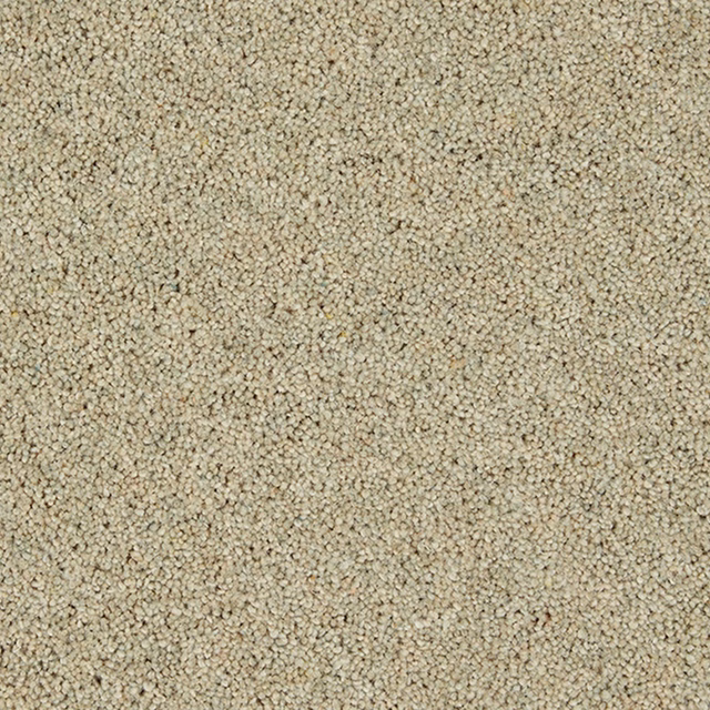Pale oatmeal-beige Wool Twist surface with tightly packed flecked loops and soft texture