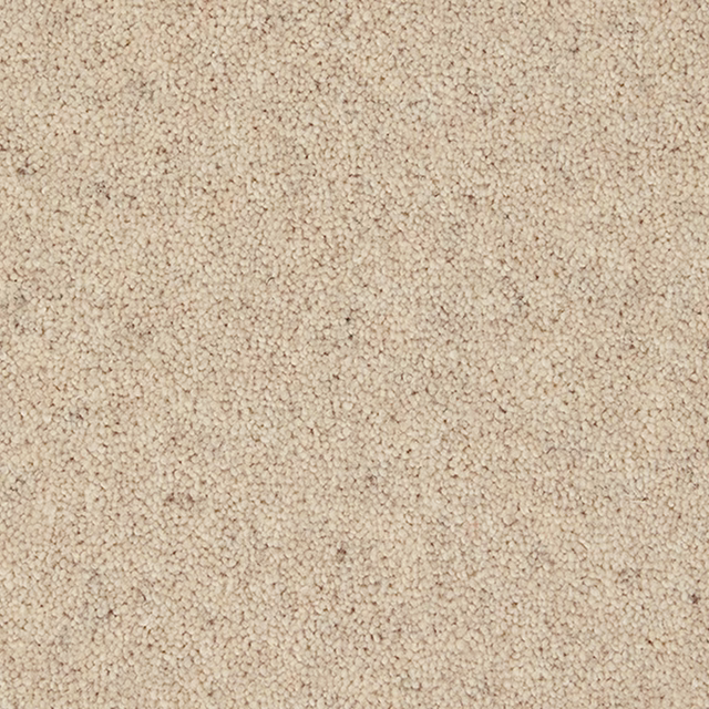Warm papyrus beige carpet with dense tiny loops and subtle tonal flecking