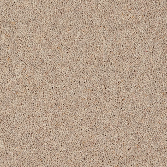 Warm beige carpet with tightly textured loops and scattered taupe-brown flecks