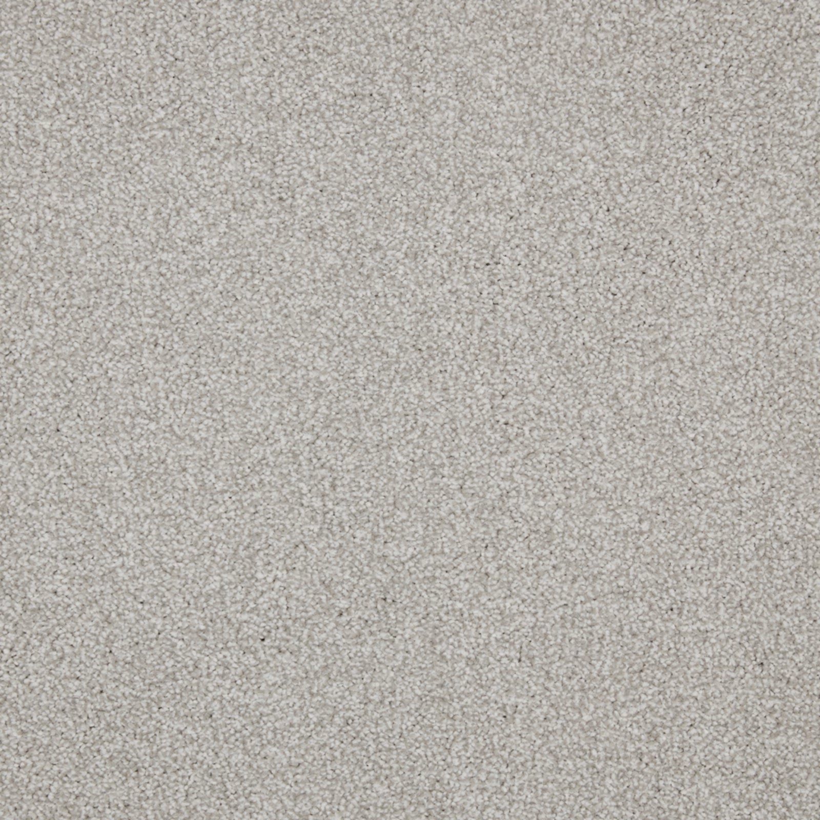 Pale warm greige carpet with dense fine loops and softly mottled texture