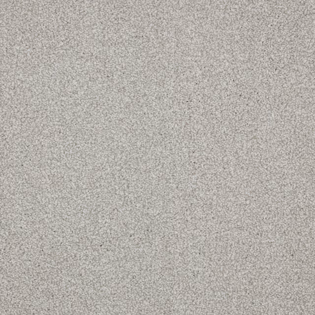 Pale warm greige carpet with dense fine loops and softly mottled texture