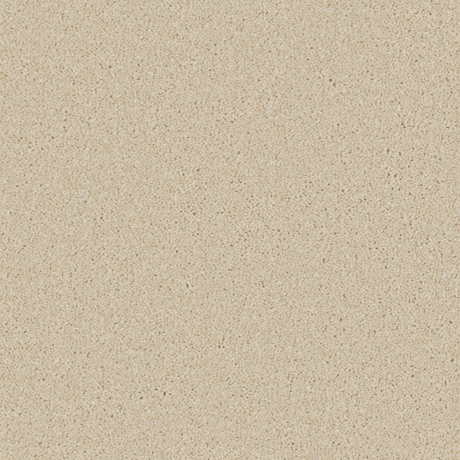 Warm beige carpet surface with fine peppered flecks and close tactile texture
